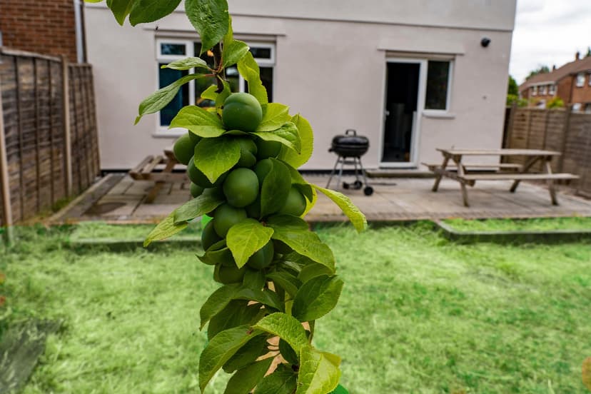 System Property Image